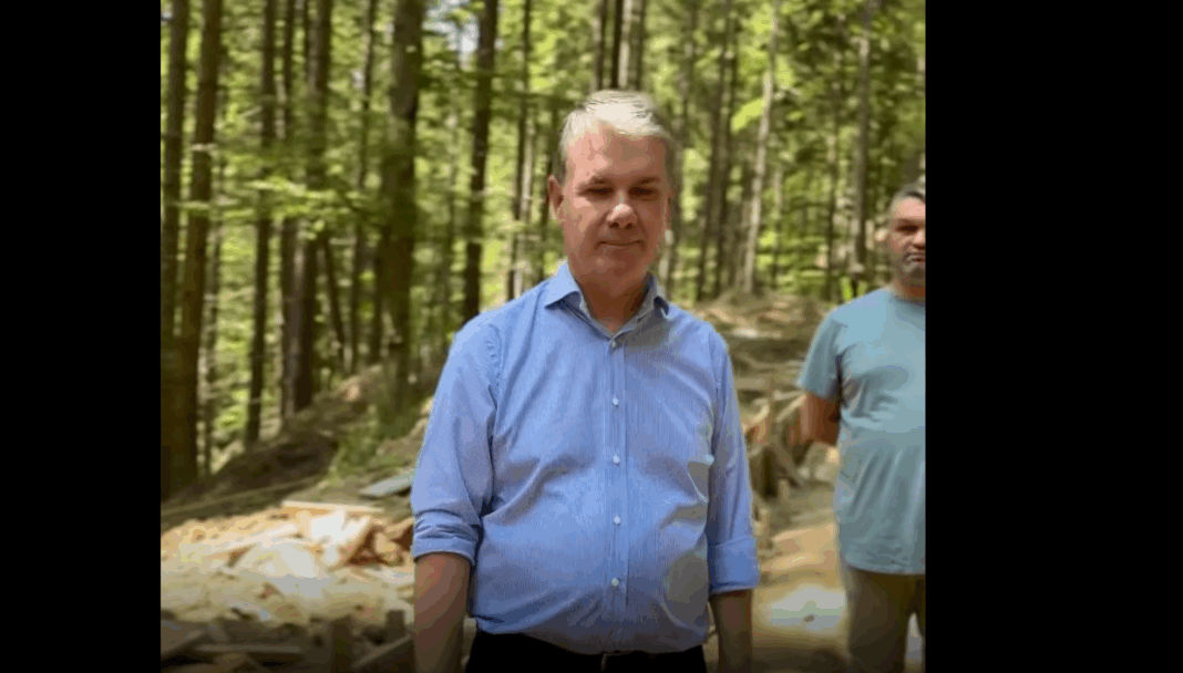 Brașovul dă exemplu României: proiect unic, un sanctuar de 62 de hectare pentru 70 de urși la Brașov