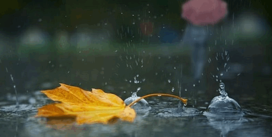 Prognoza meteo pentru următoarea lună: început de octombrie cu frig și ploi abundente