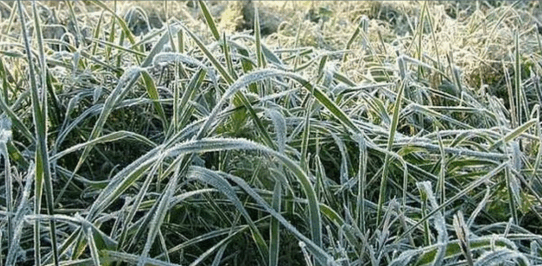 Vine frigul! Prognoza ANM pentru următoarele patru săptămâni