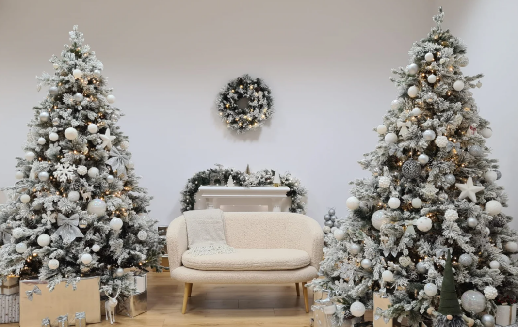 Brazii naturali din Danemarca, vedetele piețelor din Romania. Prețurile ajung până la 15.000 de lei