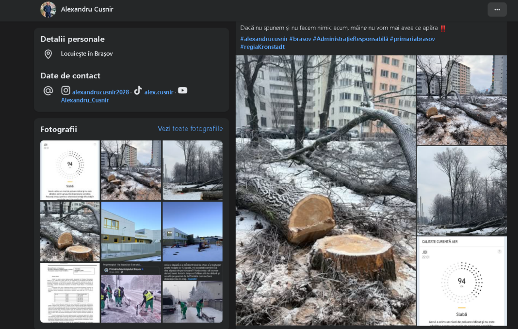 Alexandru Cusnir: În Brașov, copacii dispar rând pe rând, sub pretextul „tăierilor autorizate”