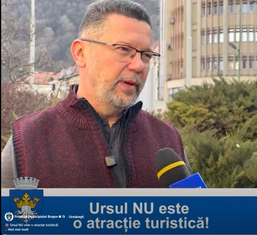 Ursul NU este o atracție turistică!