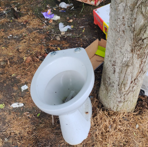 Poluarea drumurilor: o problema cronica