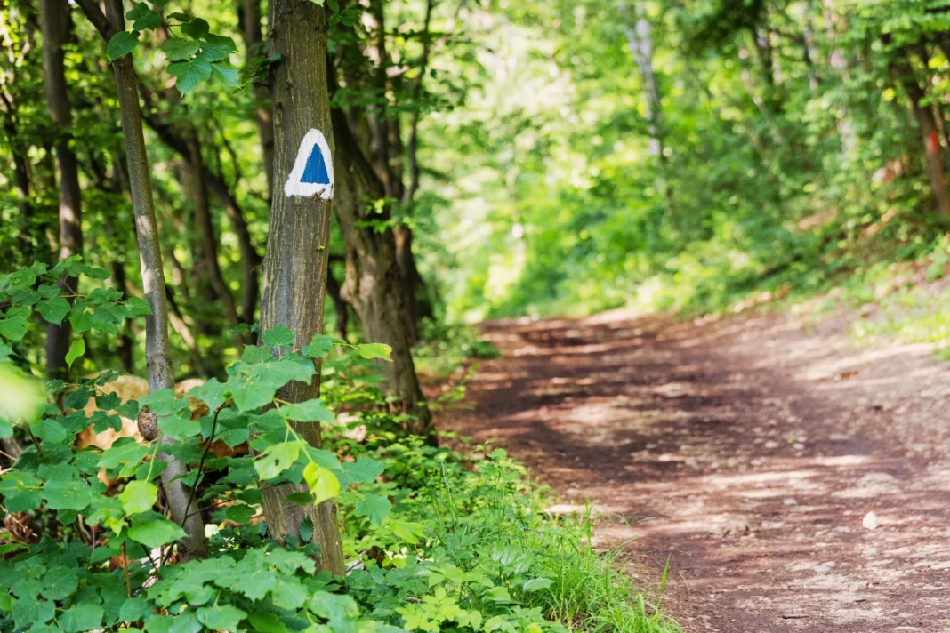 Siguranta in Munti: Recomandari pentru Turiști