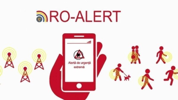 Urs în Brașov: O Comunitate în Alertă