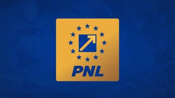 PNL se reunește după nominalizarea premierului