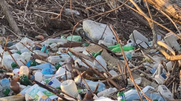 Săcele: Ecologizarea râului Gârcini, o prioritate