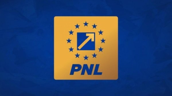 Tribunalul Ilfov Suspendă Decizii PNL