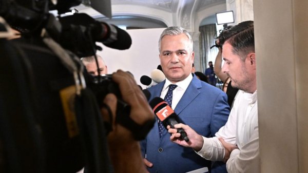 Veștea candidează la președinția PNL