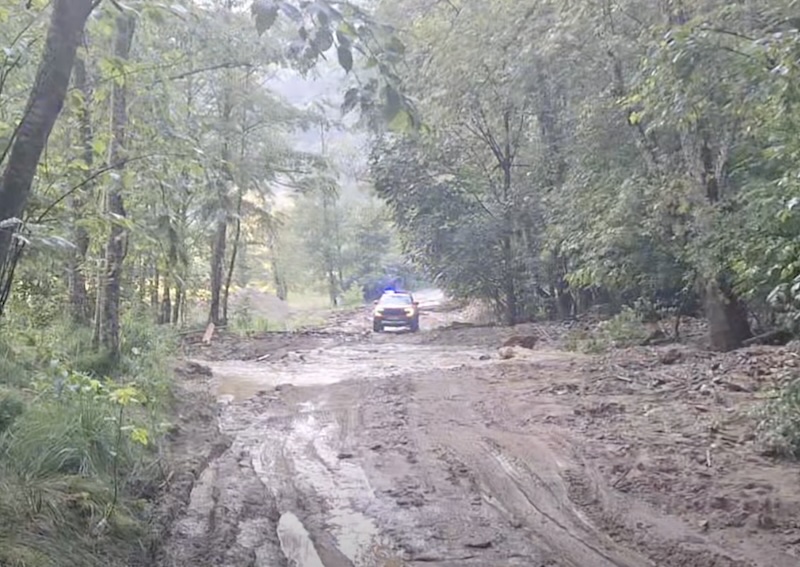 Accesul spre Vârful Moldoveanu întrerupt de o viitură: 15 vehicule imobilizate, zeci de persoane salvate din Valea Rea
