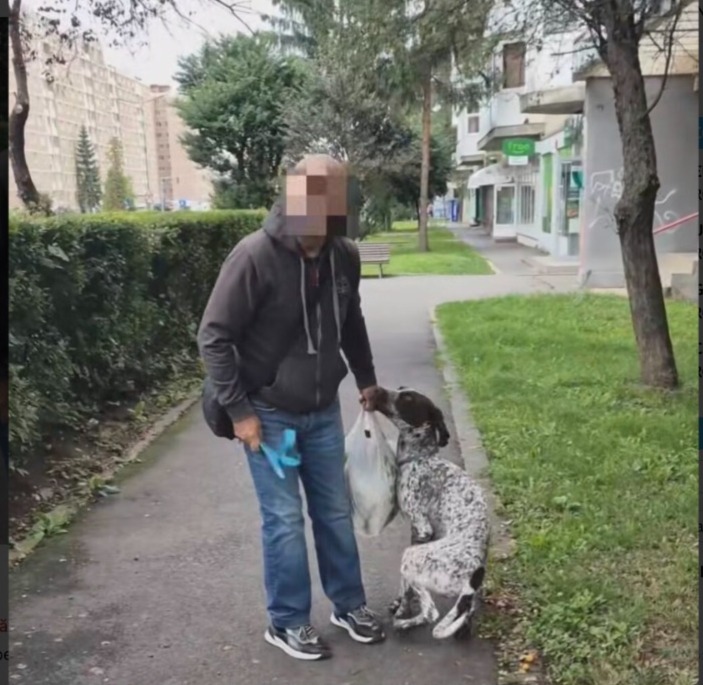 Bărbat sancționat cu 2.200 de lei de Poliție după ce și-a maltratat câinele pe o stradă din Brașov