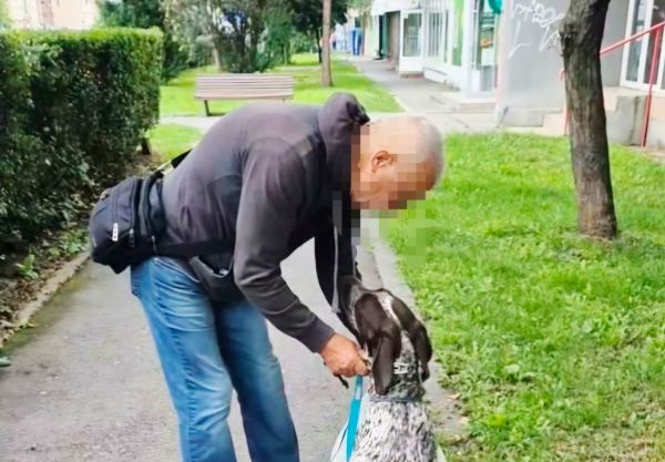 Brașovean amendat cu 2.200 de lei pentru agresarea unui câine, surprinsă în imagini publice