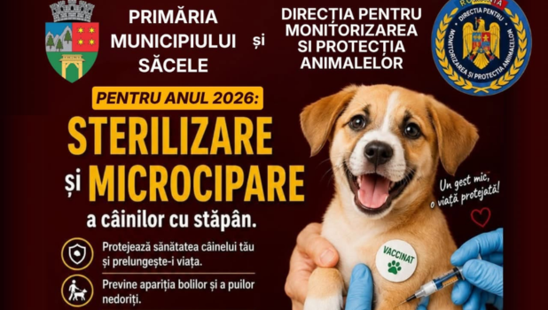 Campanie de sterilizare și microcipare gratuită pentru câinii din Săcele