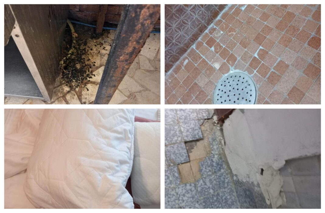 Condiții insalubre pe litoral: Amenzi de peste 750 milioane lei aplicate de ANPC în doar șase zile