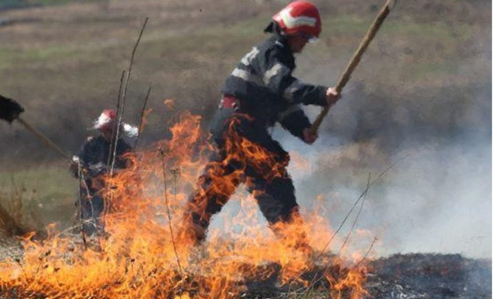 ISU Brașov Avertizează: Creștere Alarmantă a Incendiilor de Vegetație în Prima Jumătate a Anului