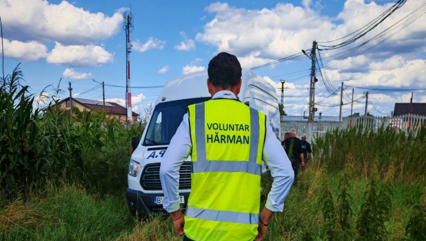 Un urs a fost localizat în apropierea comunei Hărman