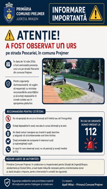 Urs observat pe strada Pescăriei în comuna Prejmer