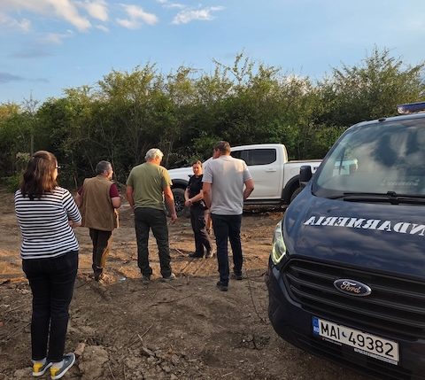 Ursul în Sânpetru: Acțiuni de capturare și recomandări pentru locuitori