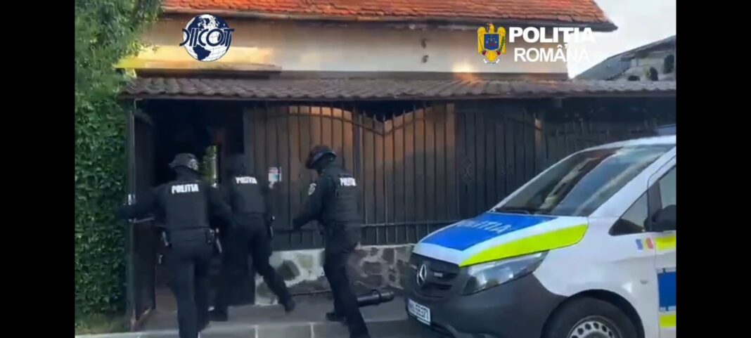 VIDEO Cinci tineri, suspecți de trafic de canabis și cocaină, reținuți. Își desfășurau activitatea din locuințe închiriate în Brașov și Sânpetru
