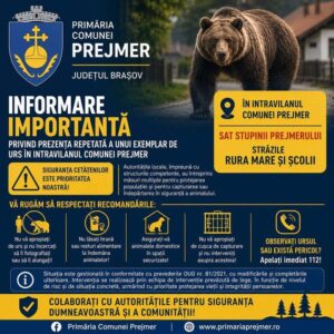 Atenție sporită la Prejmer: Un urs se întoarce în zona locuită, atacând animale domestice. Autoritățile încearcă capturarea sa