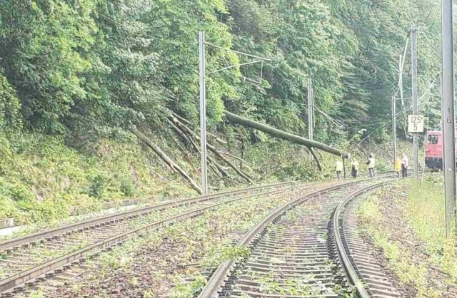 Circulația trenurilor între Predeal și Brașov, blocată de un copac prăbușit pe șine