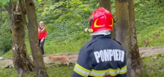 Comemorarea a 182 de ani de la fondarea primei unități de pompieri militari din Capitală