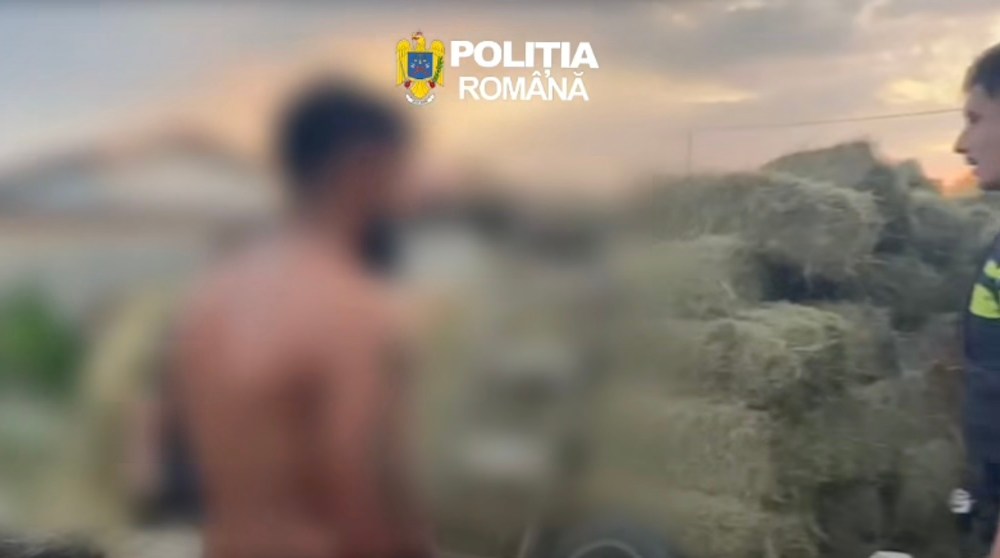 Descinderi cu mascații în Sânpetru: Trei indivizi arestați după furtul a două sute de baloți din Bod