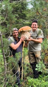 Descoperire spectaculoasă în pădurile Brașovului: hrib de aproape 9 kilograme, posibil record național