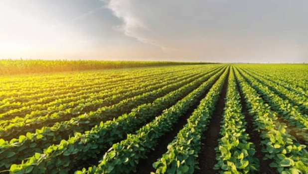 Doar cinci zile rămase pentru vizarea carnetelor de rentier agricol! APIA continuă plățile într-o nouă tranșă