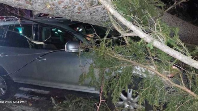 Fenomene meteo extreme afectează Brașovul: Copaci doborâți, drumuri blocate și garaje inundate