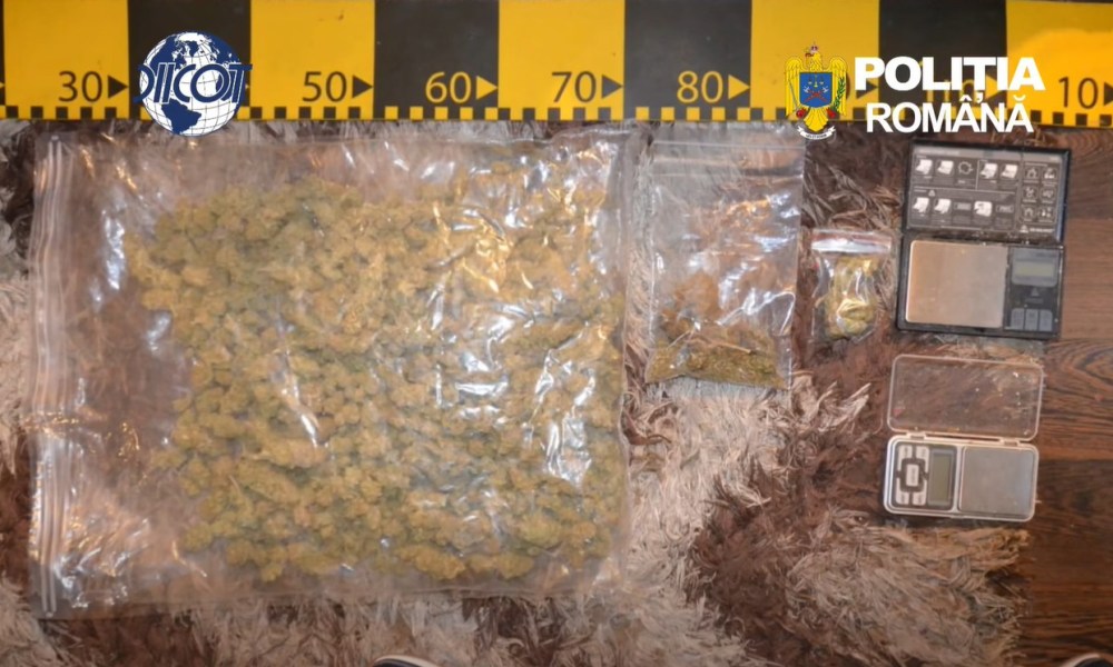 VIDEO/ DIICOT Brașov a reținut doi bărbați pentru trafic de droguri. Peste 2,6 kilograme de canabis confiscate