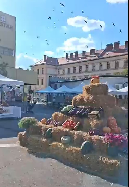 Brașovul celebrează toamna cu debutul „Zilelor Recoltei”