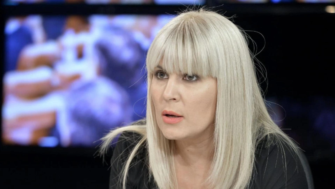 Elena Udrea Acuză: Siegfried Mureșan Știa de Finanțare