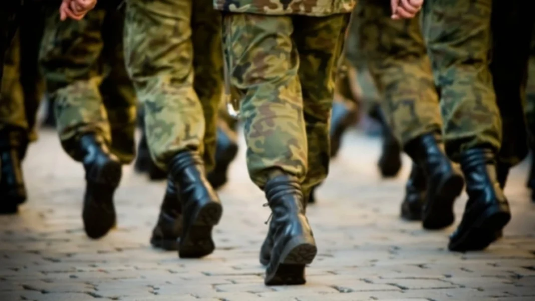 Exercițiu Internațional de Securitate și Dispute Politice în România