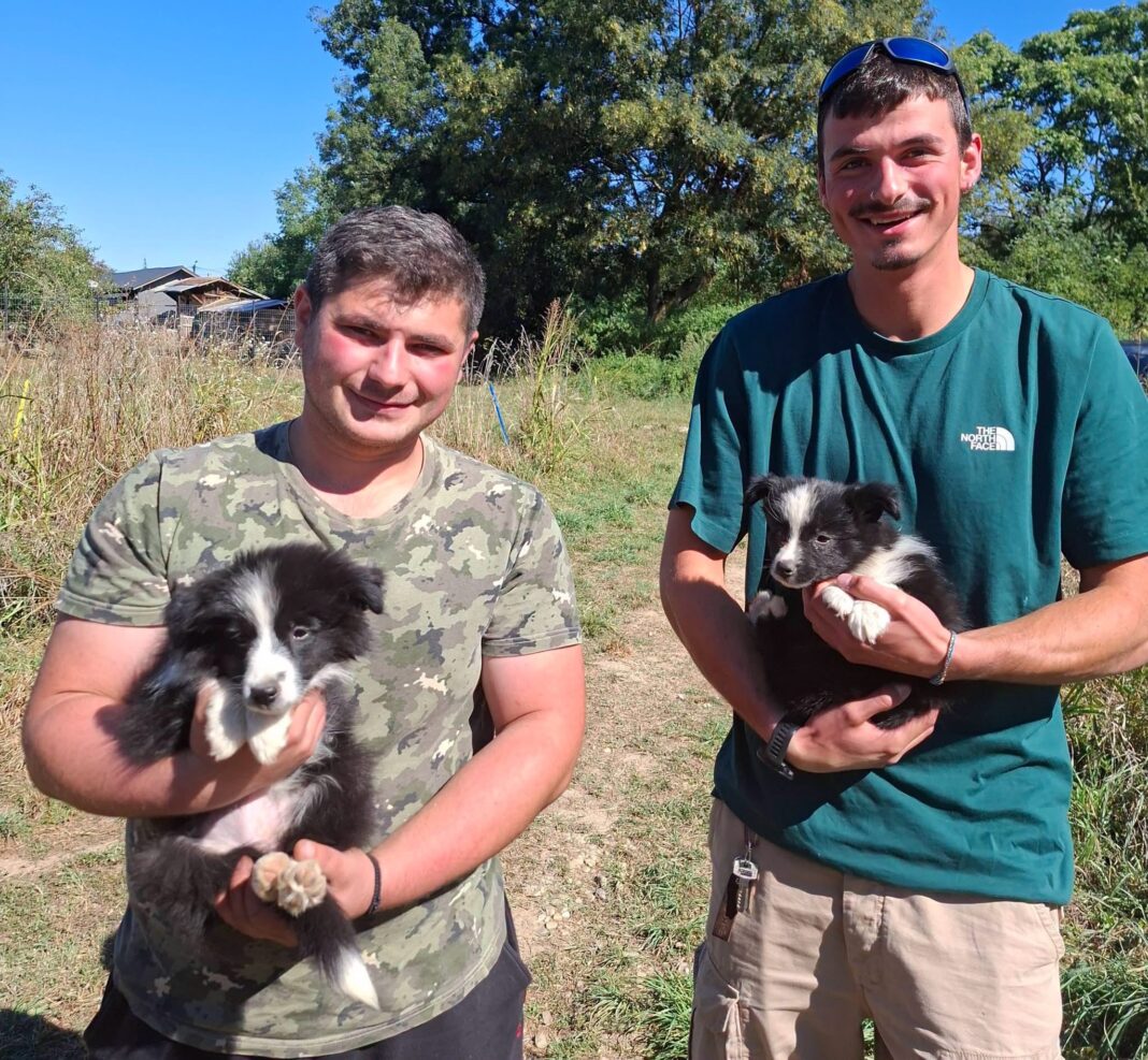 Salvamont Brașov Își Dezvoltă Prima Unitate Canină