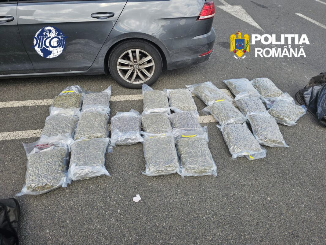 Traficant prins cu 21 kg canabis, arestat