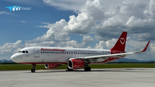 AnimaWings Suspendă Temporar Zborurile