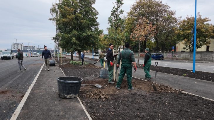 Brașov: Campanie de plantări pentru extinderea spațiilor verzi
