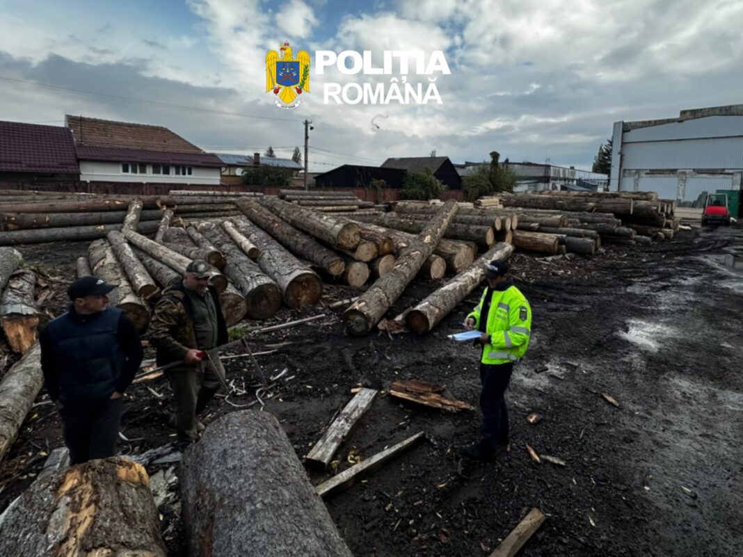 Confiscări Masive de Lemn în Brașov