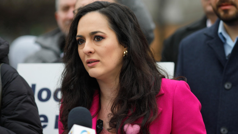 Controversa Deputatei USR Diana Stoica