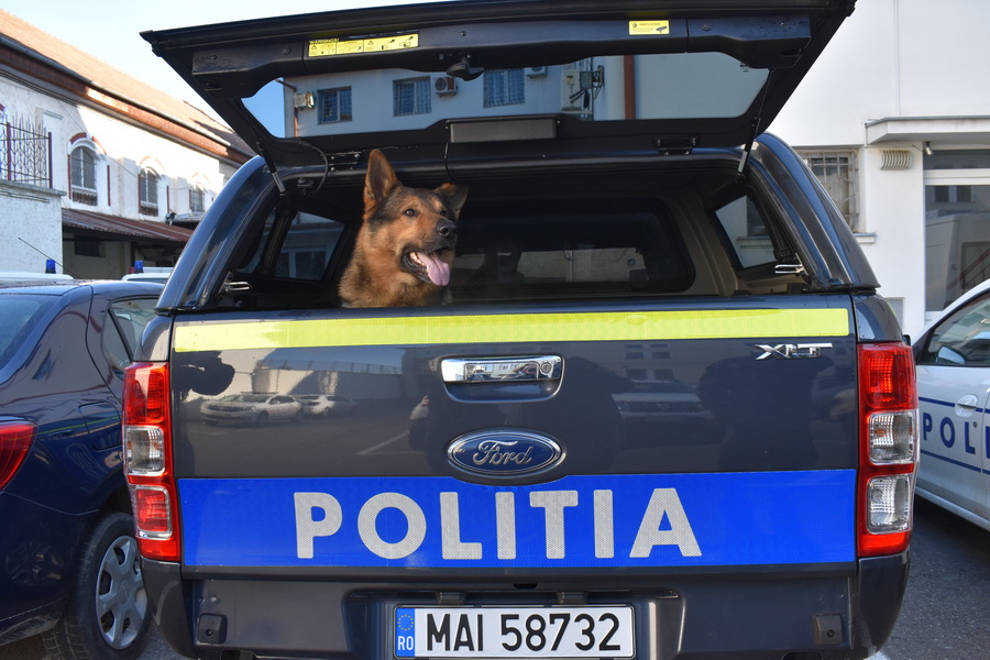 Cruzime asupra câinilor: doi bărbați căutați de poliție