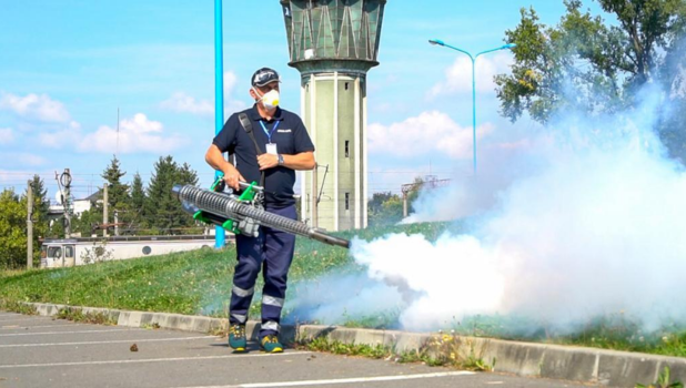 Deratizare în Brașov: Măsuri și Informații Importante