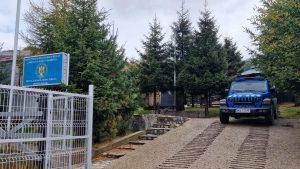 Doi bărbați prinși tăind ilegal brazi în Bucegi