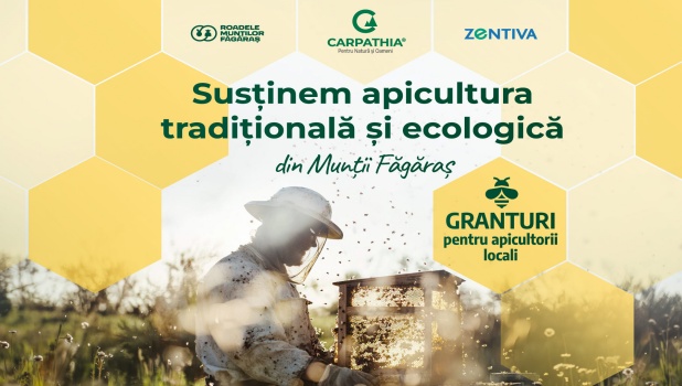 Granturi pentru Apicultorii din Munții Făgăraș