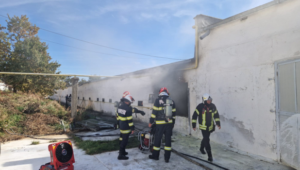 Incendiu la fermă în Dumbrăvița: hală cuprinsă de flăcări