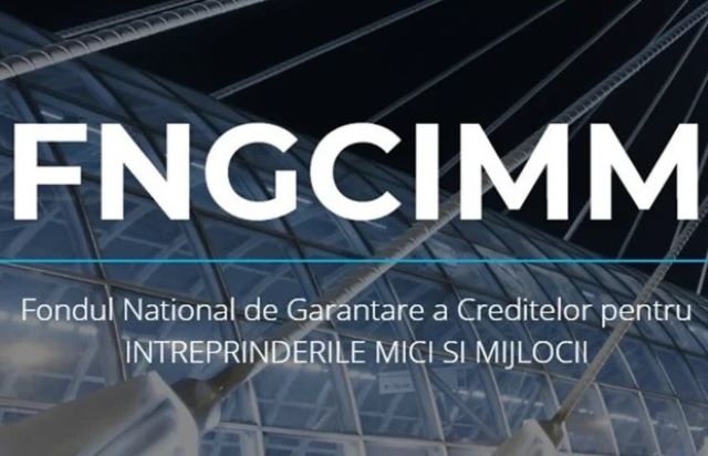 Instrument financiar de 495 milioane lei pentru economia socială