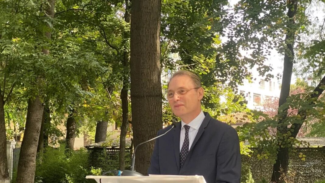 Luca Niculescu despre austeritate: „Cât mai puțin”