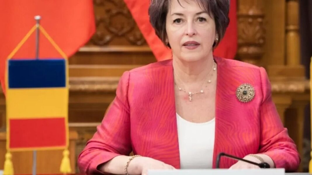 Niculina Stelea: România are nevoie de alegeri anticipate