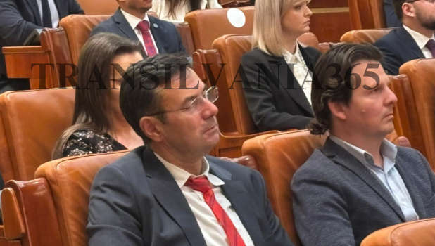 SOS România cere alegeri anticipate