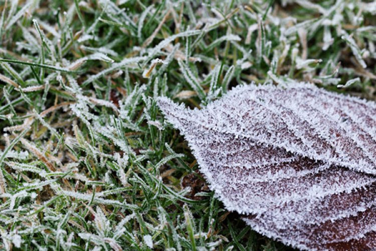 Temperaturi Scăzute în Brașov și Făgăraș